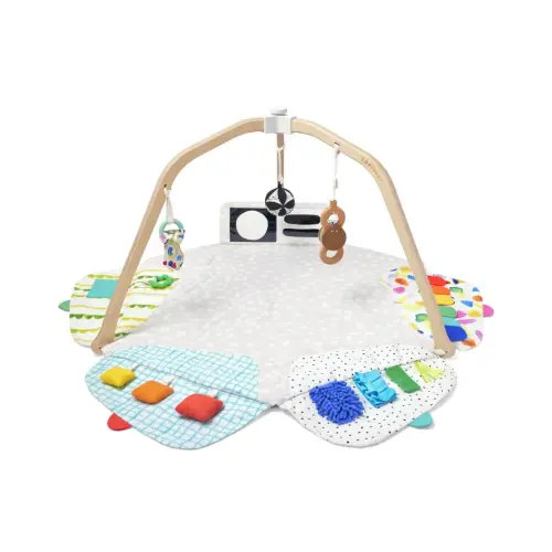 LOVEVERY The Play Gym | Award-Winning Activity Gym & Mat - Wayfair