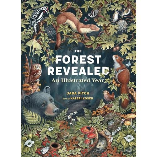 The Forest Revealed: An Illustrated Year Hardcover – September 9, 2025