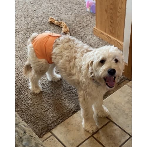 Diaper Fund