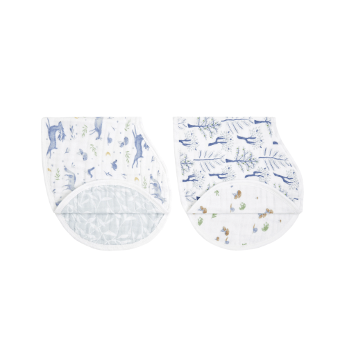 Outdoors Organic Cotton 2pk | aden + anais