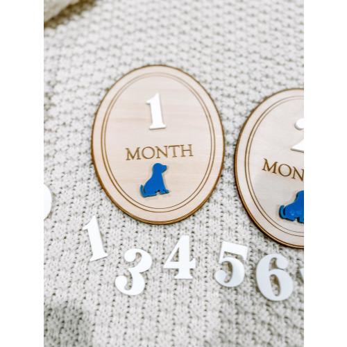 Puppy Monthly Milestone Markers, Boy Monthly Photo Sign, Puppy dog Milestone Discs, Baby Shower Gift, Baby Photo Props, monthly Photos
