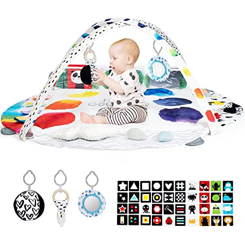 LADIDA Stage-Based Baby Play Gym - 4 Zone Sensory & Motor Skills Development Activity Gym - Large 45" Padded Palette Play Mat for Newborn to Toddler with STEM Based Toys, Textures, Learning Cards