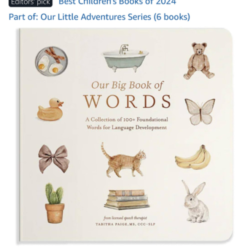 Our Big Book of First Words: A Collection of 100+ Foundational Words for Language Development (Our Little Adventures Series)