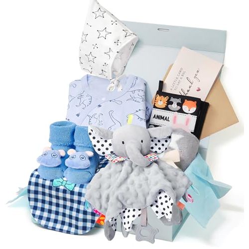Golray 9pcs Baby Shower Gifts for Boys Newborn Kit, Blanket/Elephant Soothe/Fabric Book/Bodysuit/Bib/Sock/Hat/Greeting Card, Baby Essentials Stuff Gift for Newborn Boy Friend Newmom