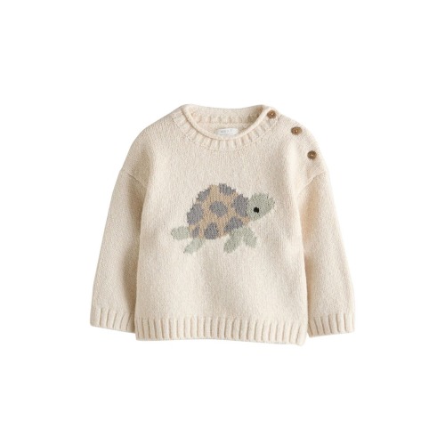 Kids' Turtle Sweater, 12-18M