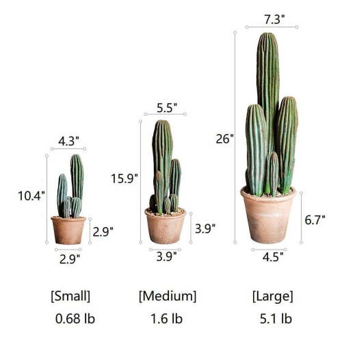 Artificial Cactus in Brown Pot