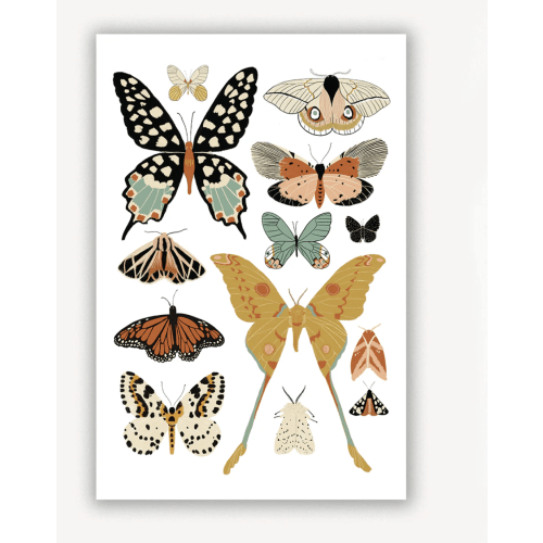Butterfly Collector Art