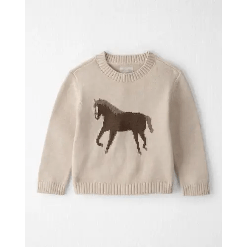 Toddler Organic Cotton Horse Sweater Knit Pullover - Little Planet | Carter's