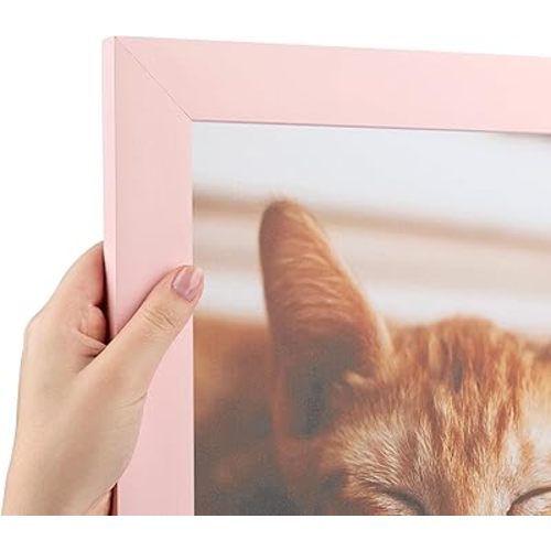 ArtToFrames 24x36 inch Baby Pink Stain on Beech Wood Picture Frame, WOM0066-81792-YPNK-24x36
