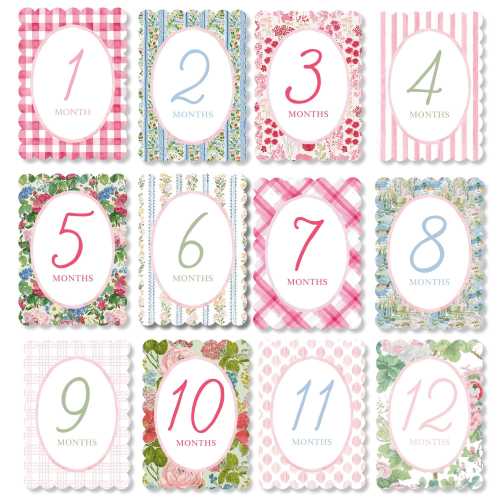 Baby Girl Pink Floral Milestone Cards, Monthly Milestone Set, Baby Shower Gift, Milestone Markers, Coquette Nursery Newborn Photo Prop