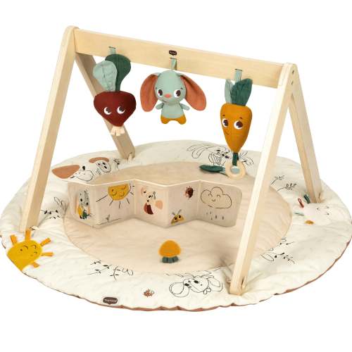 Garden of Adventures Luxe Developmental Gymini