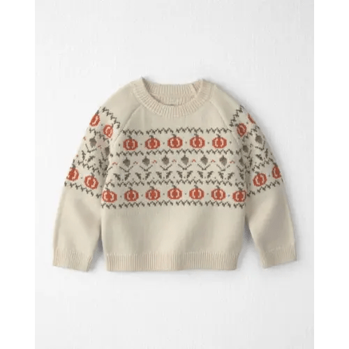 Toddler Organic Cotton Fair Isle Sweater Knit Pullover - Little Planet | Carter's