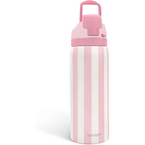 Stripe Insulated Stainless Steel Water Bottle with Straw, Push-Button Lid, 32 Ounce, Gifts for Women Girls Friends Teens Birthday Christmas (Pink)