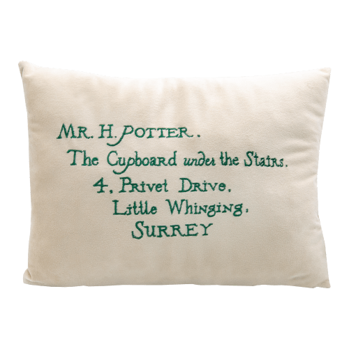Acceptance Letter Cushion