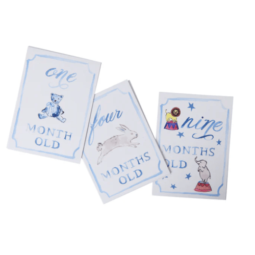 Monthly Milestone Card Set- Blue