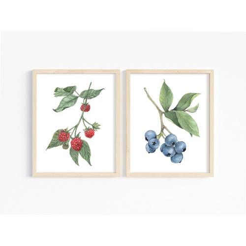 Berries Watercolor Art Prints - Fruit Wall Art - Kitchen Decor Gift