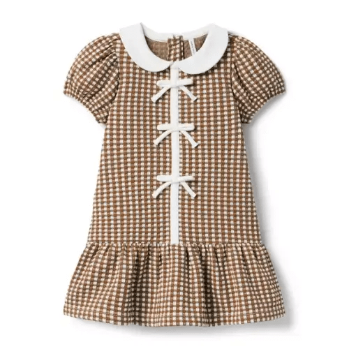 Girl Basket Brown Gingham The Gingham Dropwaist Dress by Janie and Jack