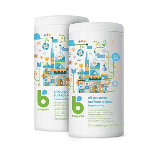 Babyganics Alcohol-Free Hand Sanitizing Wipes, Mandarin, Kills 99.9% of Common Bacteria, Moisturizing, 200 Count, (100 Count, 2 Pack), Packaging May Vary
