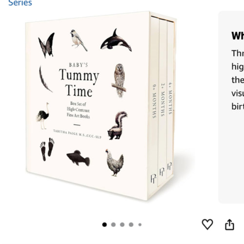Baby's Tummy Time Book Box Set: A 3-Book Box Set of High-Contrast Art for Visual Stimulation at Tummy Time (Tabitha Paige Children's Book Series)