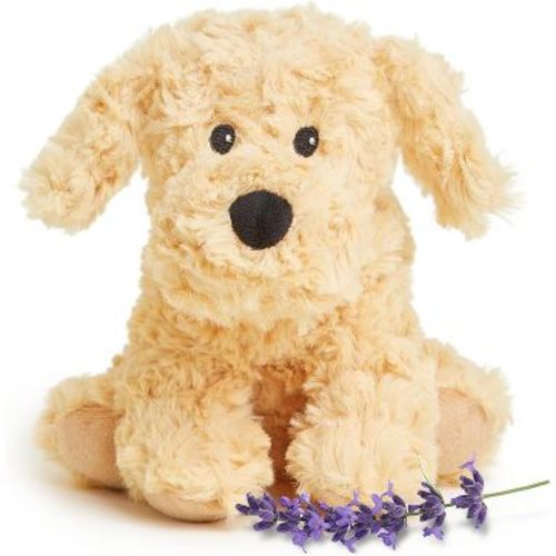 Warmies Microwavable & Weighted Golden Dog Plush, Small, Lavender Scented, Ages 3+