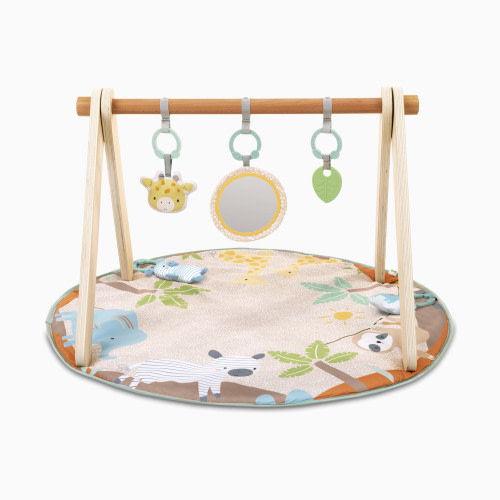 Ingenuity Wonder & Wood Wooden Toy Arch & Play Mat
