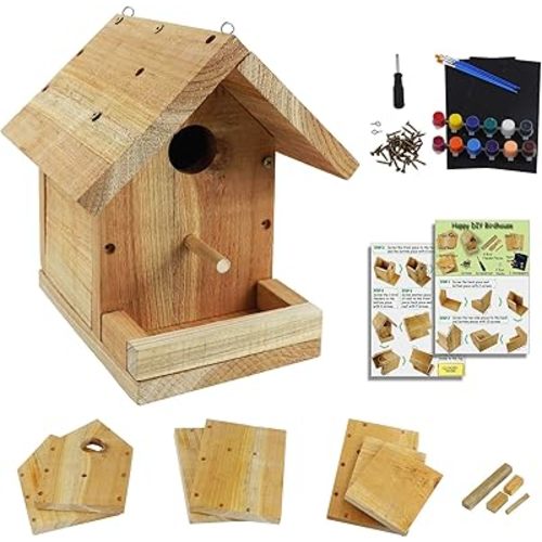DIY Birdhouse Kit with Paint Set - Kids' Wood Craft Kits - Make a Bird House Kit for Kids - DIY Woodcraft Building Projects for Kids and Adults- STEM Teaching Tools