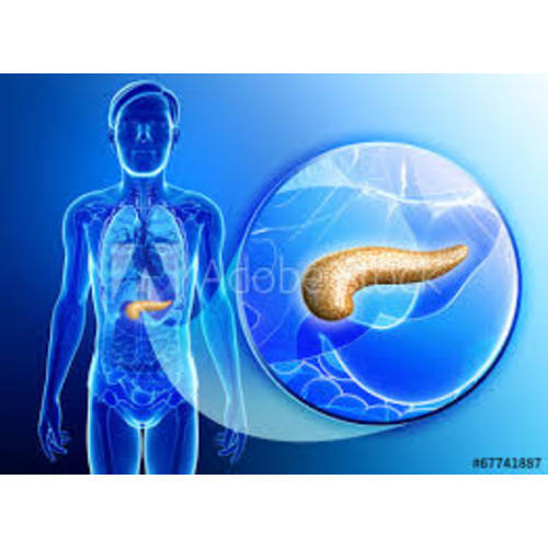 New pancreas