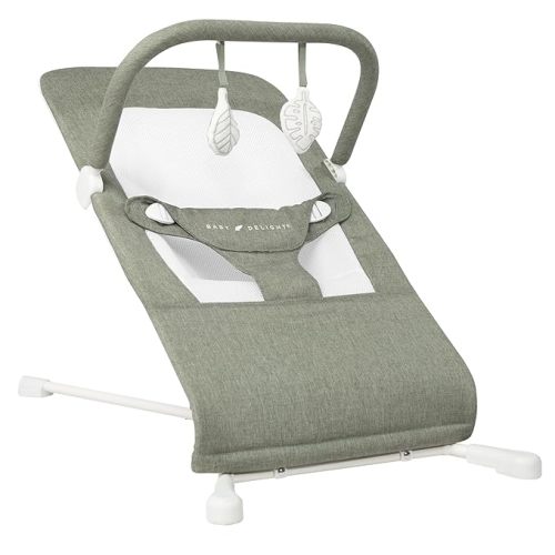 Baby Delight Highland Baby Bouncer | Infant | 0 – 6 Months | 3-Position Recline | Sage Tweed