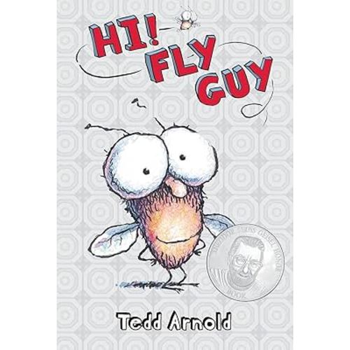 Hi! Fly Guy