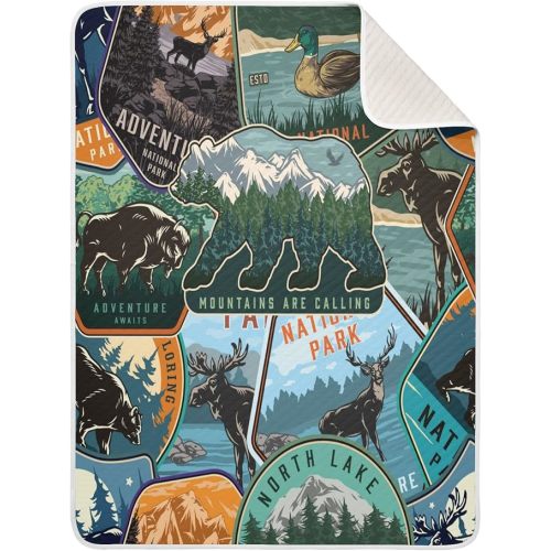 Baby Swaddle Blanket for Boys Girls Soft Warm Stroller Throw Blanket for Newborn Infant Toddler 30X40in National Park Colorful Vintage Pattern