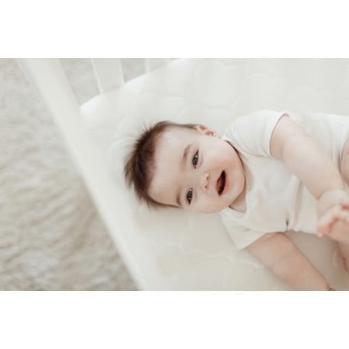 3 Months Full Feedings Membership