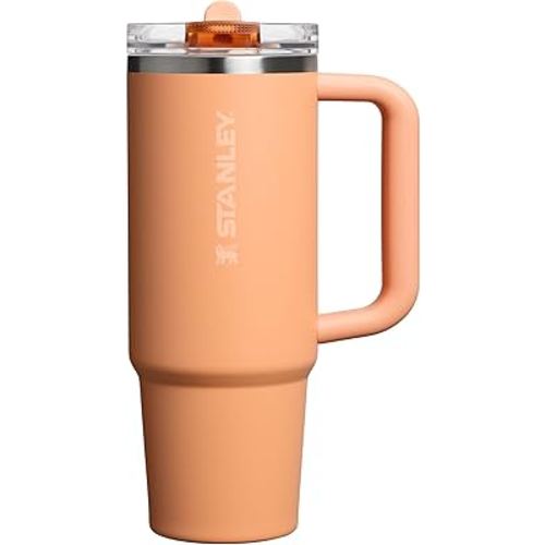 STANLEY Quencher ProTour Flip Straw Tumbler with Leakproof Lid | Built-In Straw & Handle | Cupholder Compatible for Travel | Insulated Stainless Steel Cup | BPA-Free