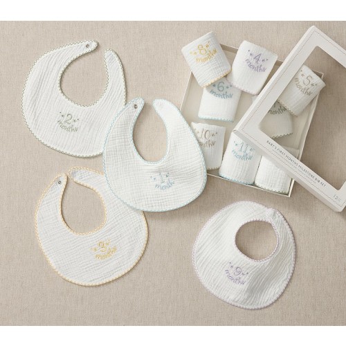 Baby's First Months Milestone Bib Set of 12