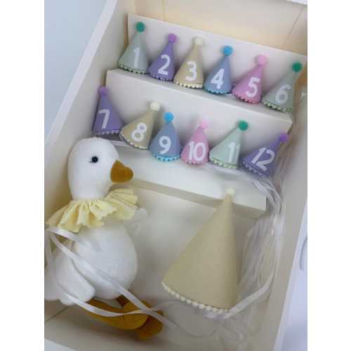 Baby Milestone Hat Set with Goose Plush – Monthly Photo Props, Pastel Shower Gift