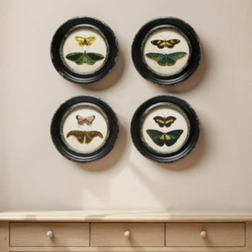 Storied Home Moth and Butterfly Wall Decor (Set of 4)
