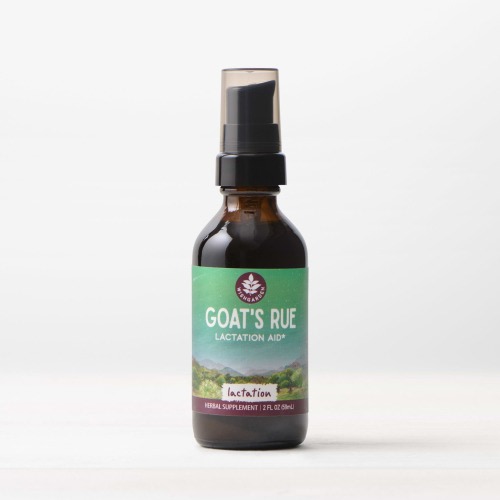 Goat's Rue: Herbs to Boost Breast Milk Production