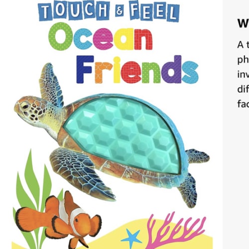 Ocean Friends - Touch and Feel Board Book - Sensory Board Book