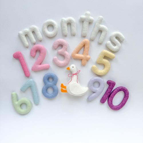 Baby Monthly Milestone Numbers + Months