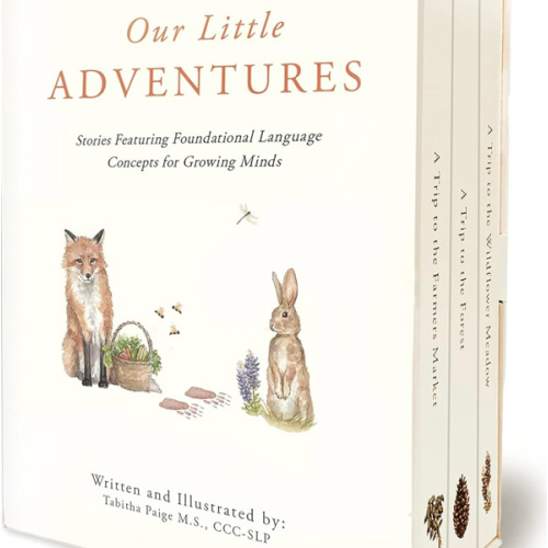 Our Little Adventures: Stories Featuring Foundational Language Concepts for Growing Minds (Tabitha Paige Children's Book Series)