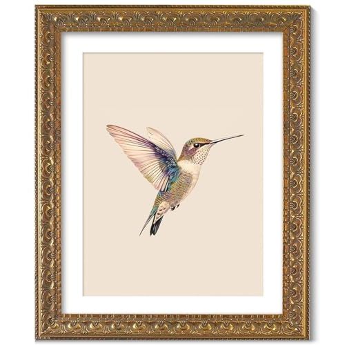 Wemandh Vintage Gold Framed Wall Art, Hummingbird Canvas Prints , Living Room Bedroom Wall Art Decor, Ornate Antique Style Picture Frame, Victorian Botanical Bird Illustration painting (Framed, 8" x 10")