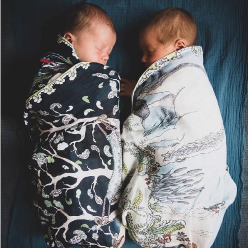 The Enchanted Forest Organic Cotton Baby Muslin – Forivor