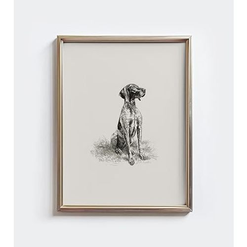 GSP Sketch Print: Vintage German Shorthaired Pointer Wall Art, Farmhouse Decor, GSP Sketch Print: Vintage German Shorthaired Pointer Wall Art Farmhouse Decor