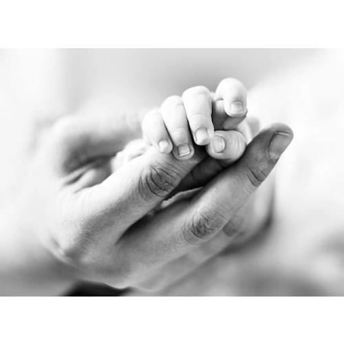 $620 photographer newborn lifestyle family photo shoot