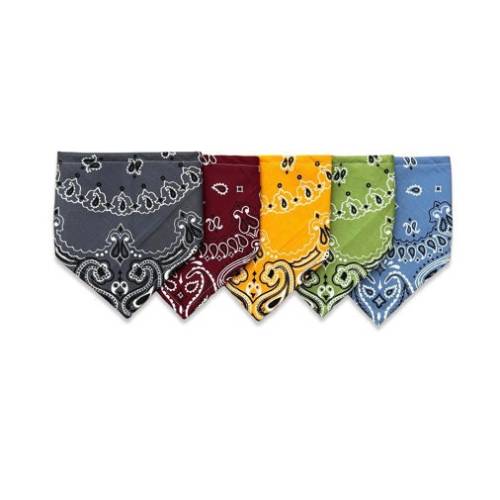 Bandana Bib for Baby - Desert Colors