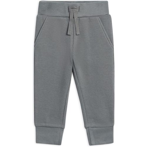 Colored Organics - Cruz Joggers Organic Cotton Baby Pants - Kids & Baby Clothes