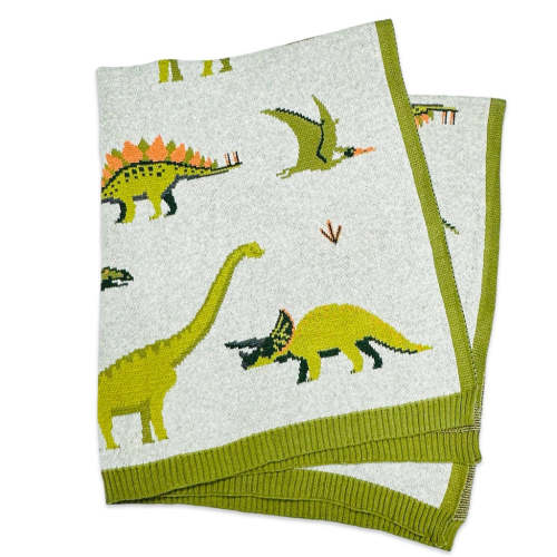 Organic Cotton Baby Blanket - Dinosaurs