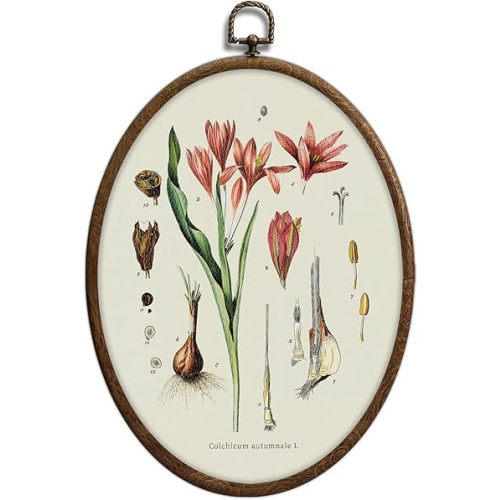 Vintage Boho Floral Oval Wall Art, Vintage Pink Botanical Oval Framed Wall Art, Waterproof Cottage Core Home Decor for Western Farmhouse Bedroom Living Room, Home Retro Decor Products, 08