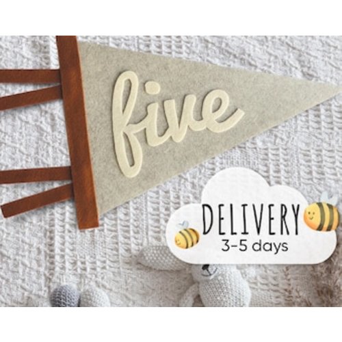 Monthly Milestones Interchangeable Flag for Baby Photos, Newborn Photo Prop First Year, Felt Neutral Pennant, Baby Shower Gift - Etsy