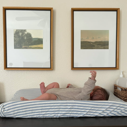 Babylist Diaper Fund