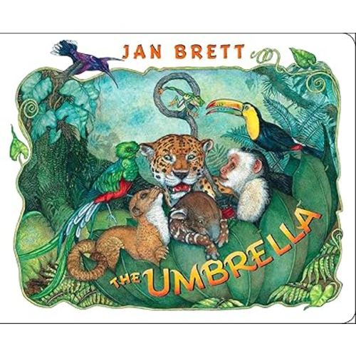 The Umbrella: board book
